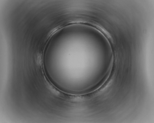 X0000113300945200909141244