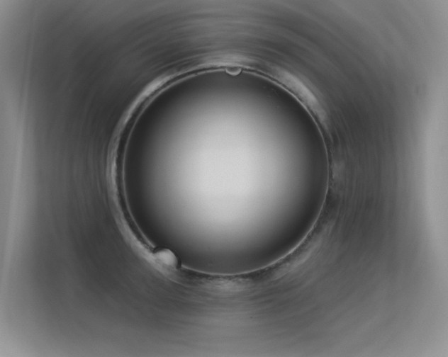 X0000113300947200909141244