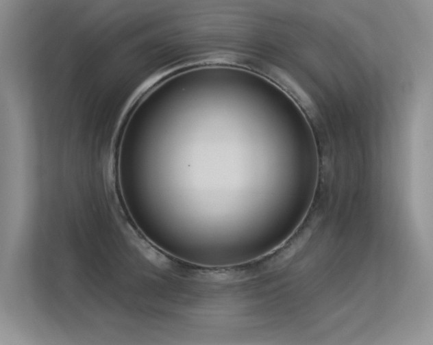 X0000113300948200909141244