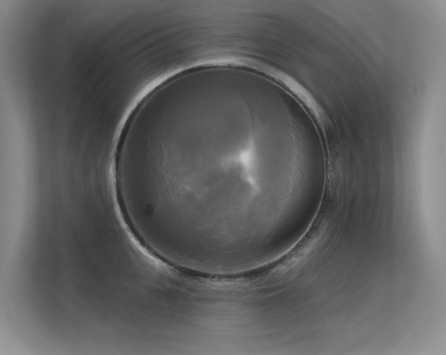 X0000113300951200909141244