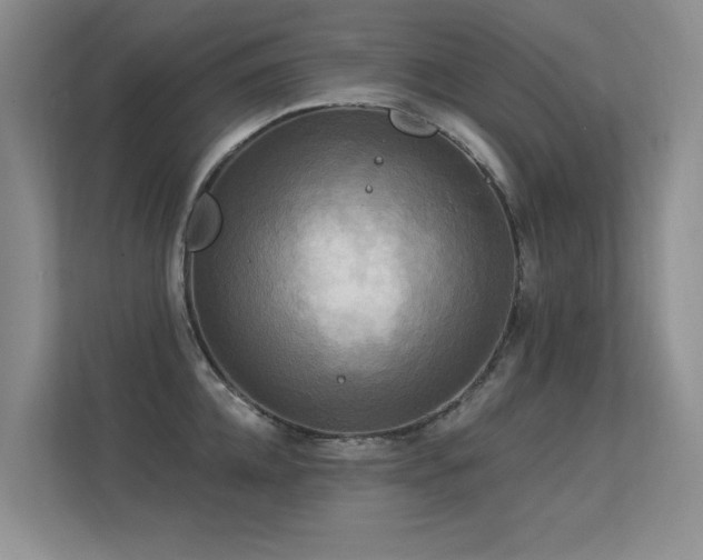X0000113300952200909141244