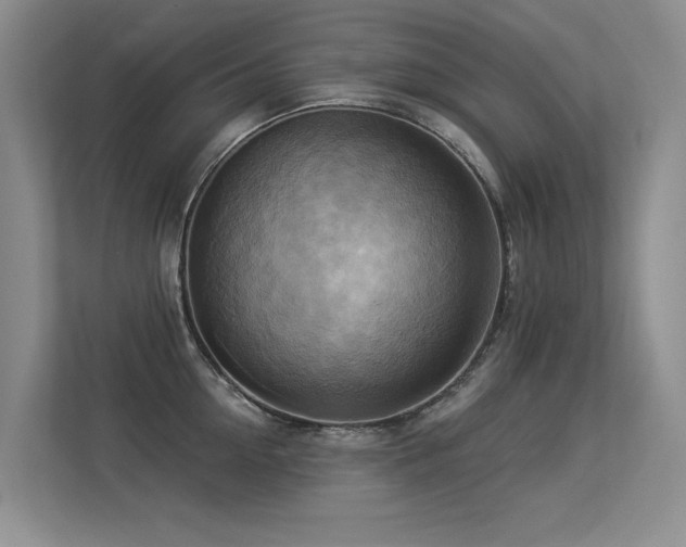 X0000113300954200909141244