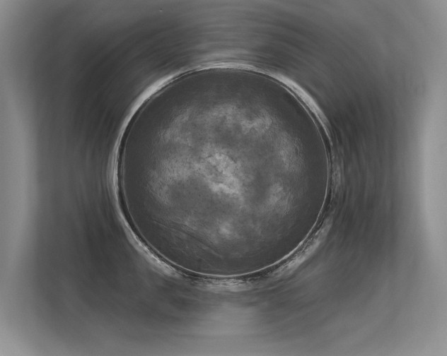 X0000113300957200909141244