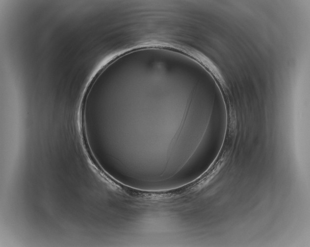 X0000113300958200909141244