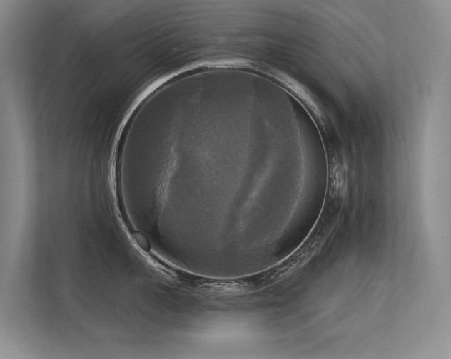 X0000113300959200909141244