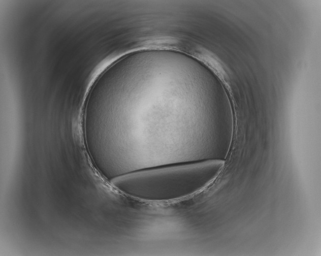 X0000113300960200909141244