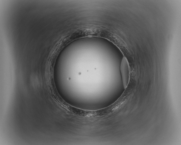 X0000113300961200909141244
