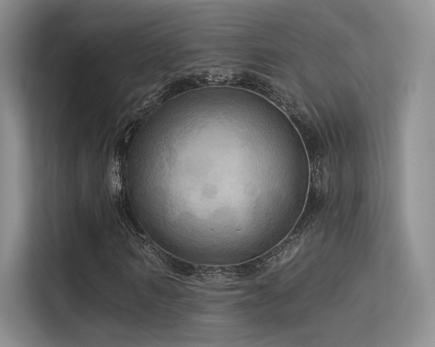 X0000113300962200909141244