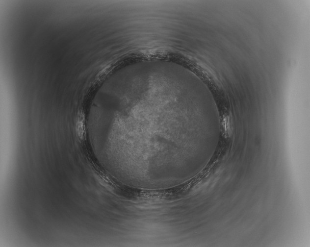 X0000113300963200909141244