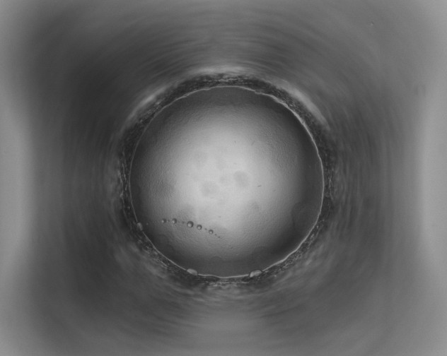 X0000113300967200909141243