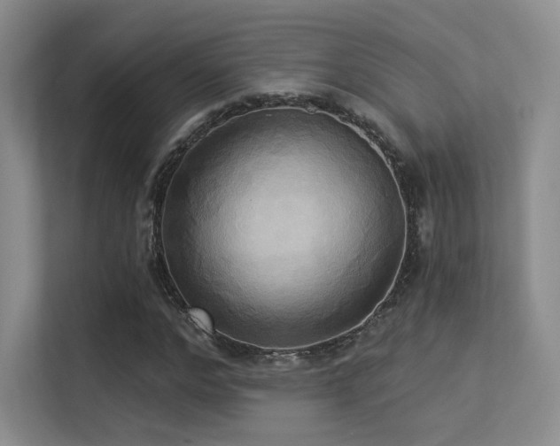 X0000113300968200909141243