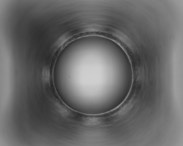 X0000113300969200909141243