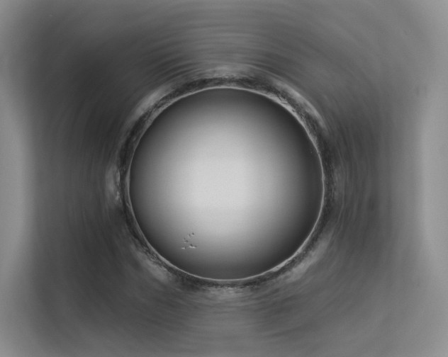 X0000113300970200909141243