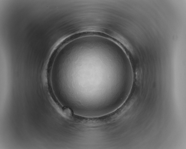 X0000113300972200909141243