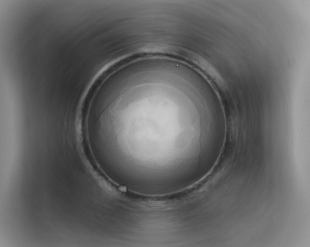 X0000113300976200909141243