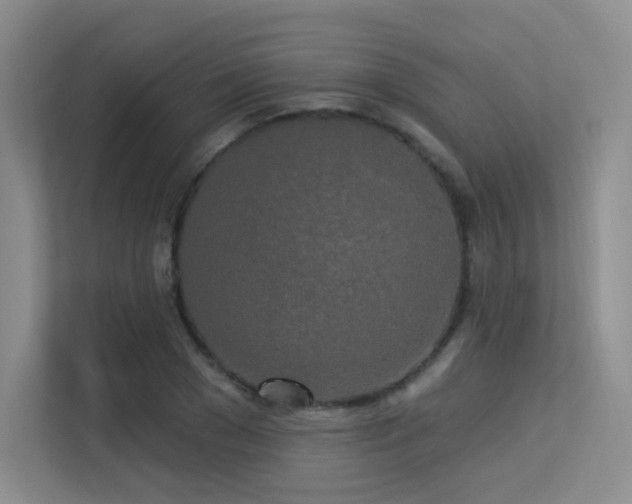 X0000113300977200909141243