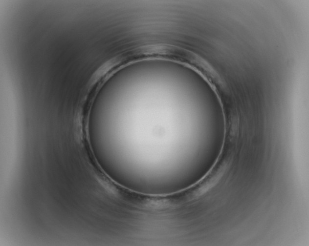 X0000113300978200909141243
