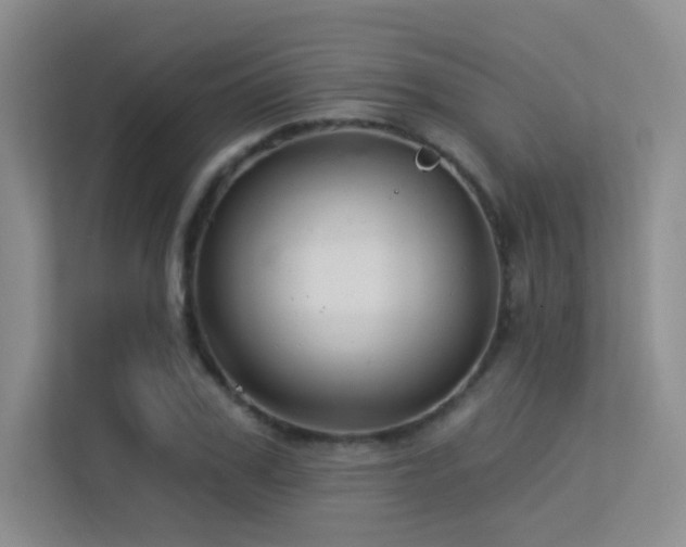 X0000113300979200909141243