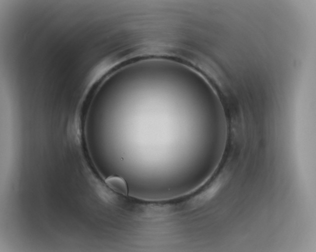 X0000113300981200909141243