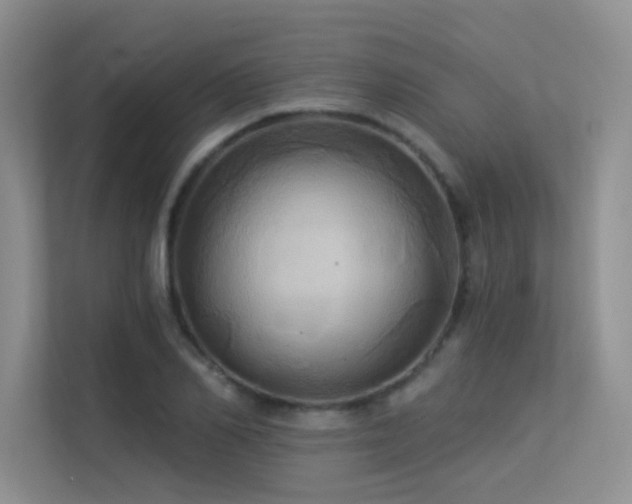 X0000113300982200909141243