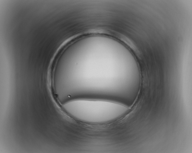 X0000113300984200909141243