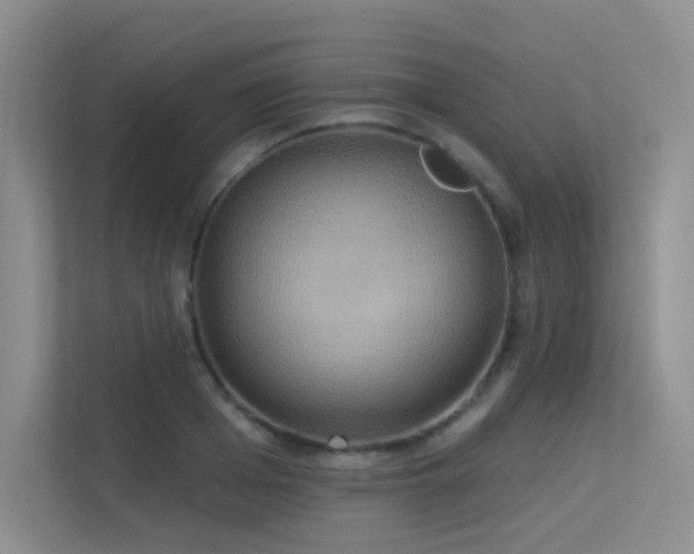 X0000113300985200909141243
