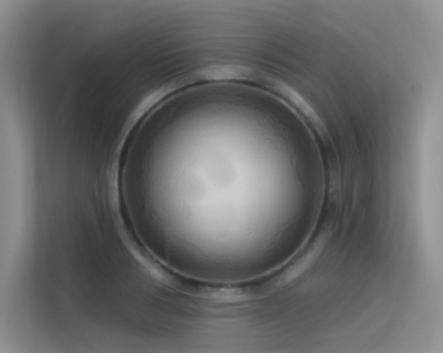 X0000113300986200909141243