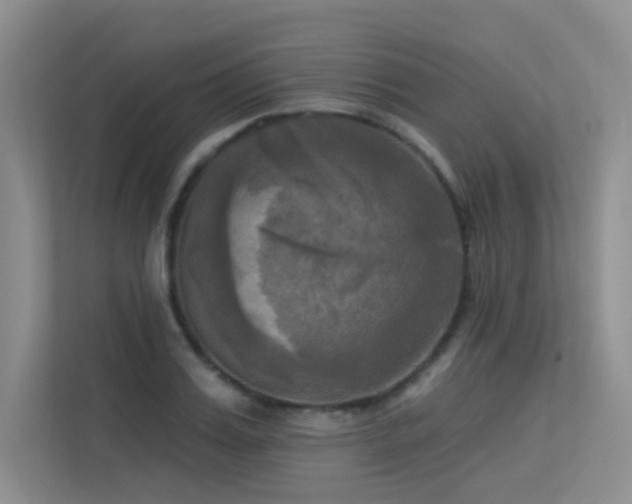 X0000113300987200909141243