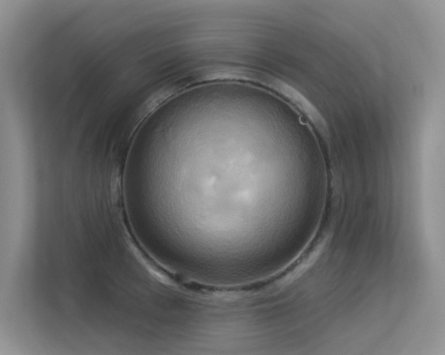 X0000113300993200909141243
