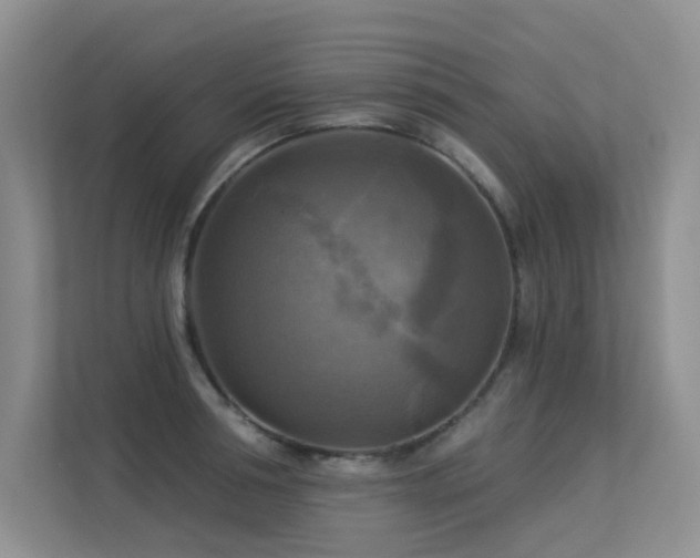 X0000113300994200909141243