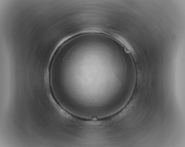 X0000113300996200909141243