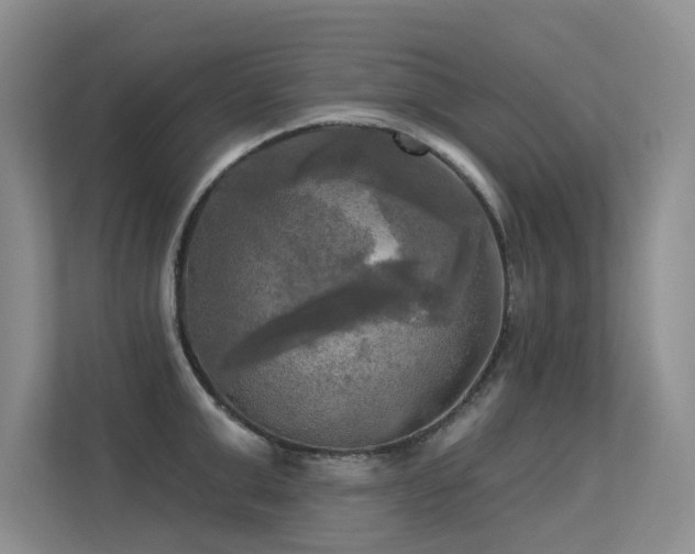 X0000113300999200909141243