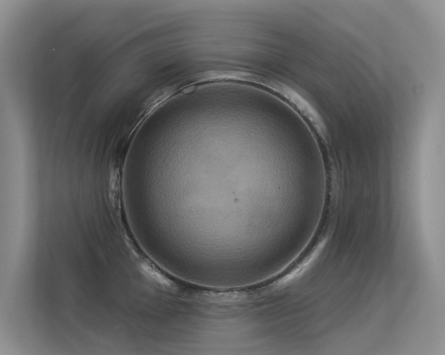 X0000113301001200909141243