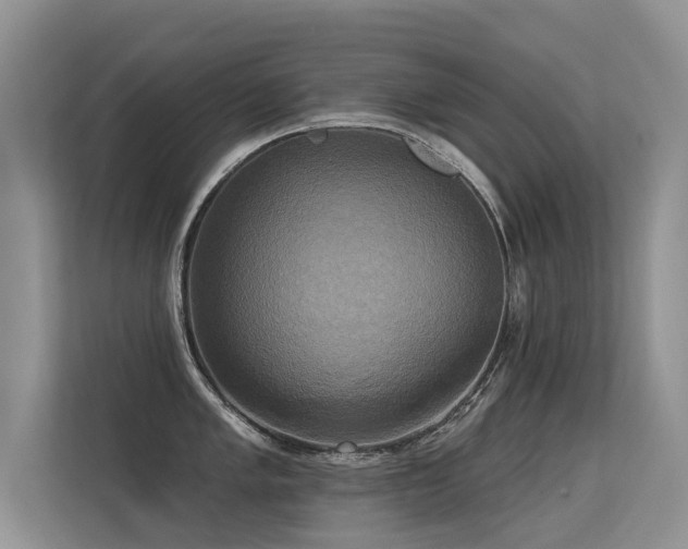 X0000113301005200909141243