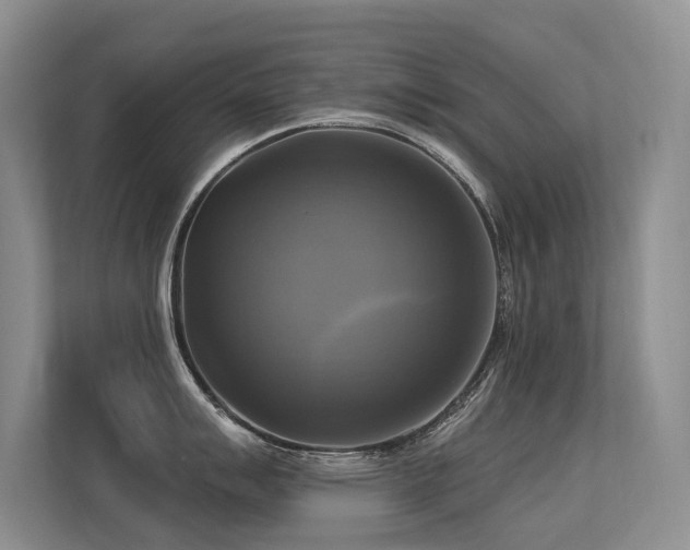 X0000113301007200909141243