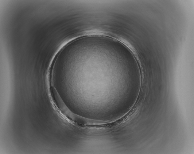 X0000113301008200909141243