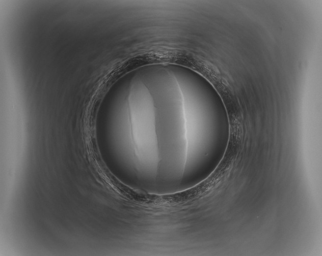 X0000113301009200909141242