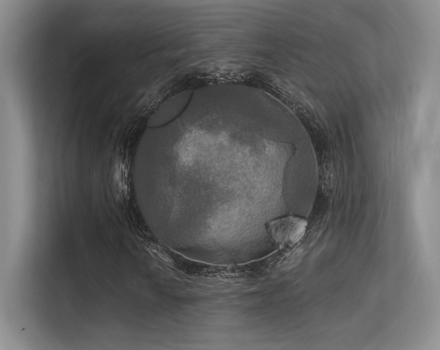 X0000113301010200909141242