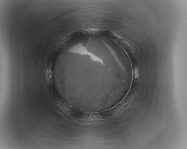 X0000113301011200909141242