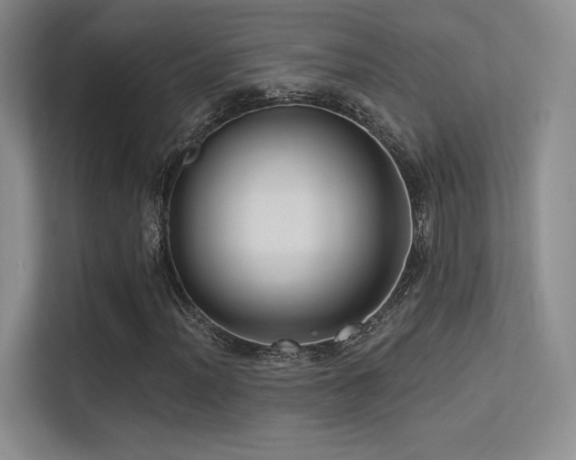 X0000113301012200909141242