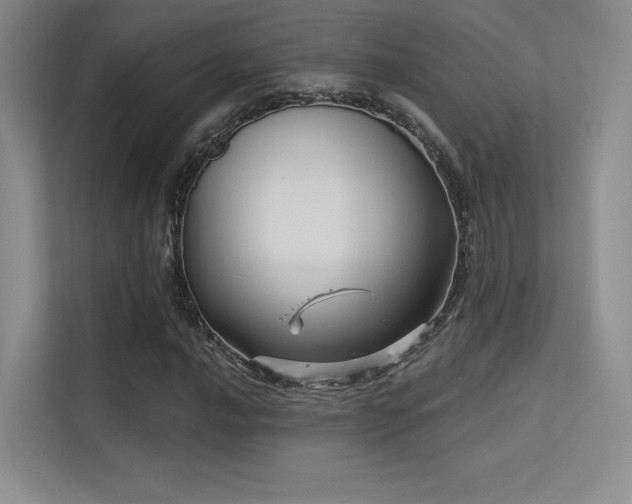 X0000113301016200909141242
