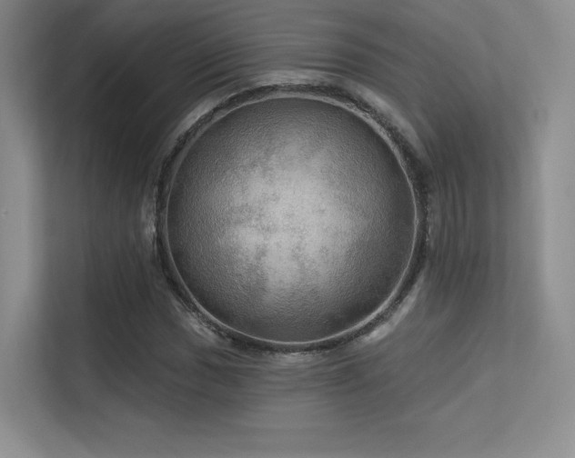 X0000113301017200909141242