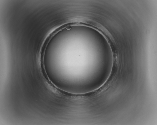 X0000113301020200909141242