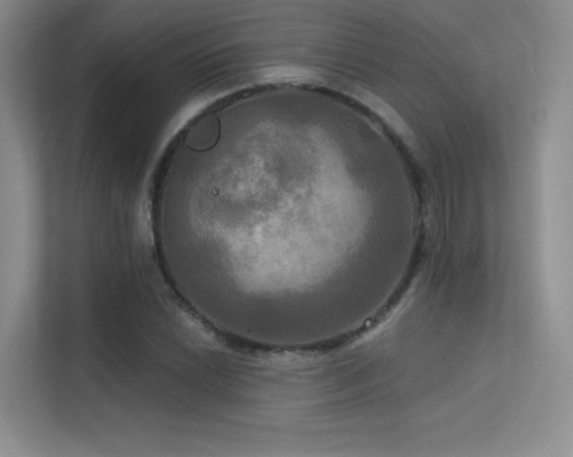 X0000113301022200909141242