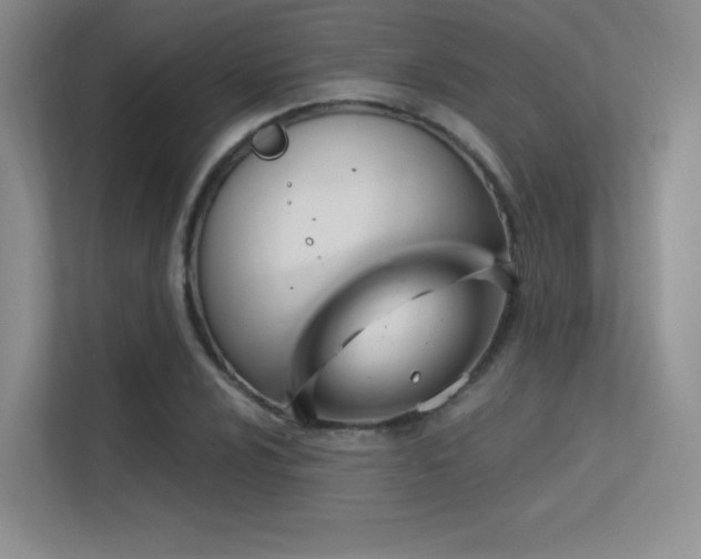 X0000113301024200909141243