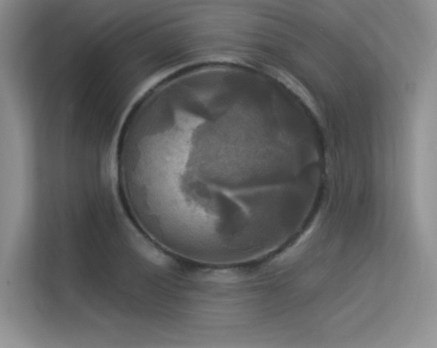 X0000113301028200909141243