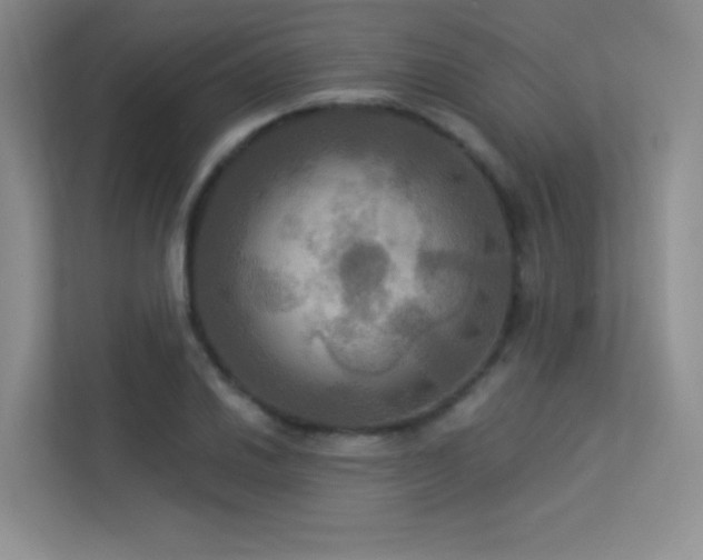 X0000113301030200909141243