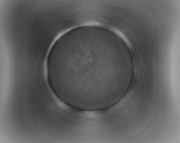 X0000113301032200909141243