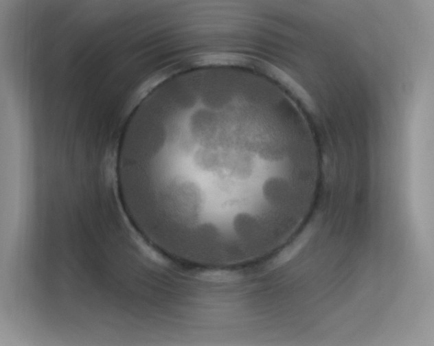 X0000113301033200909141243