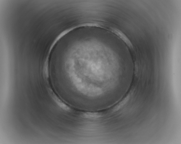 X0000113301036200909141243